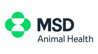 MSD ANIMAL HEALTH